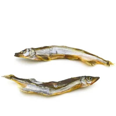 Lunderland KAPELAN suszony (gromadnik) Lunderland KAPELAN suszony (gromadnik)