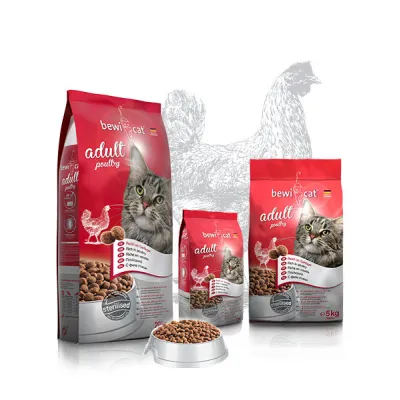 Bewi Cat adult KURCZAK