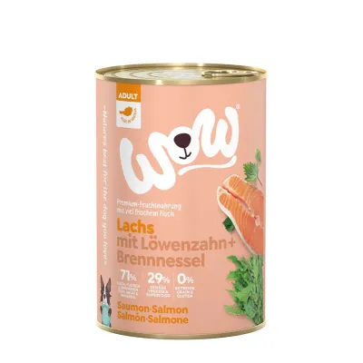 WoW ŁOSOŚ z mniszkiem lekarskim