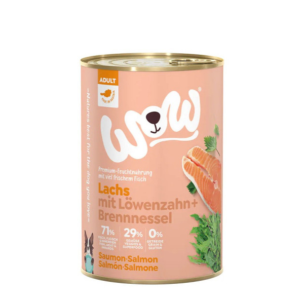 WoW ŁOSOŚ z mniszkiem lekarskim