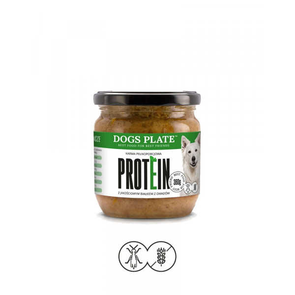 Dogs Plate PROTEIN