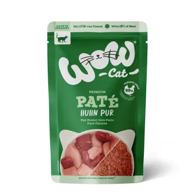 WoW cat KURCZAK