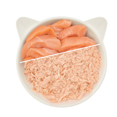 WoW cat filet z KURCZAKA WoW cat filet z KURCZAKA