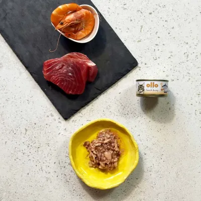 oLLo 01 Tuńczyk i krewetki