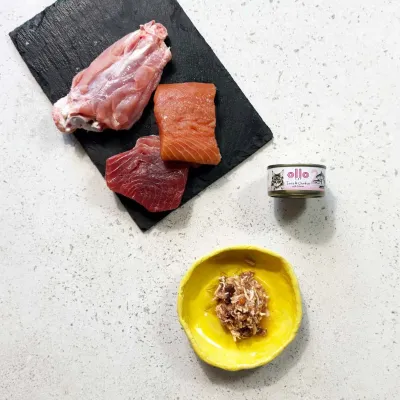 oLLo 02 Tuńczyk i kurczak z łososiem