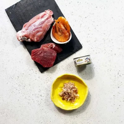 oLLo 03 Tuńczyk i kurczak z krewetkami