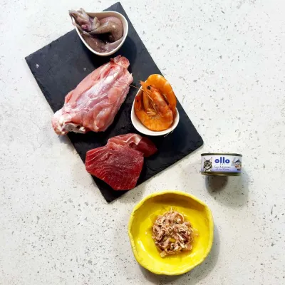 oLLo 04 Tuńczyk i kurczak z kałamarnicą i krewetkami