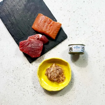 oLLo 05 Tuńczyk i łosoś