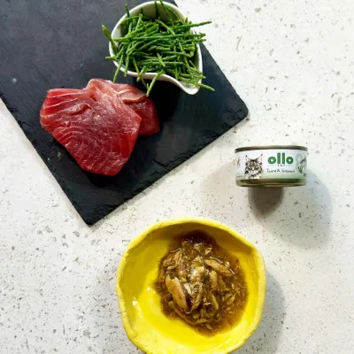 oLLo 08 Tuńczyk i wodorosty