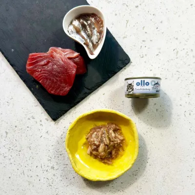 oLLo 09 Tuńczyk i anchois