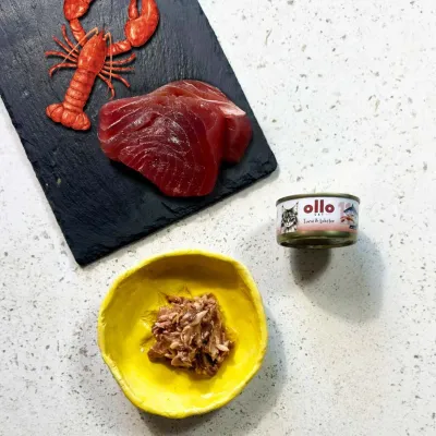 oLLo 11 Tuńczyk i homar