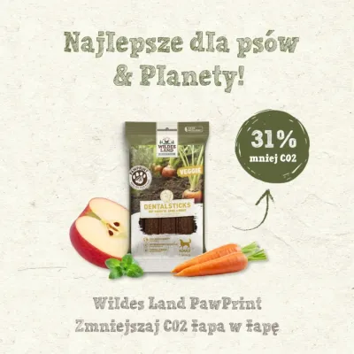 Wildes Land VEGE dental - patyczki dentystyczne