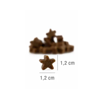 Platinum STARS łosoś