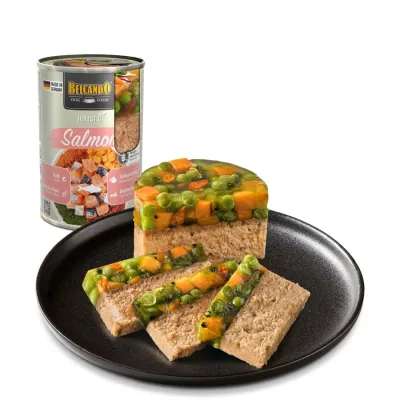 Belcando łosoś i superfoods