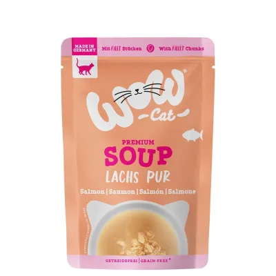 WoW cat ZUPA dla kota z łososiem