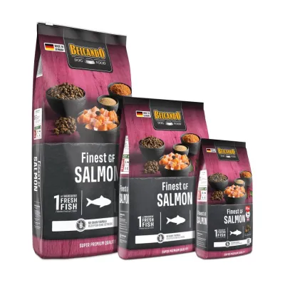 Belcando Finest Grain Free SALMON