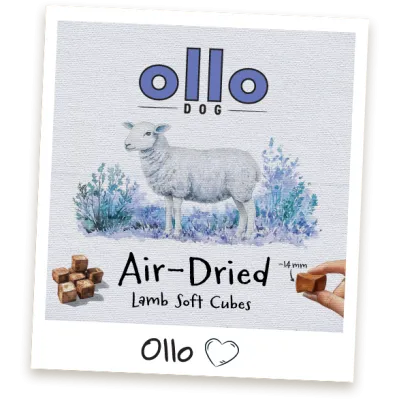 oLLo cubes przysmaki z jagnięciny
