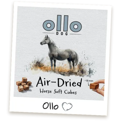 oLLo cubes przysmaki z koniny