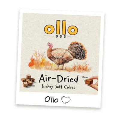 oLLo cubes przysmaki z indyka