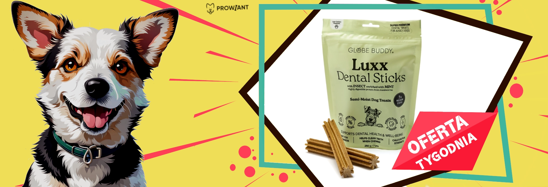 Slide #1 copy Slide background