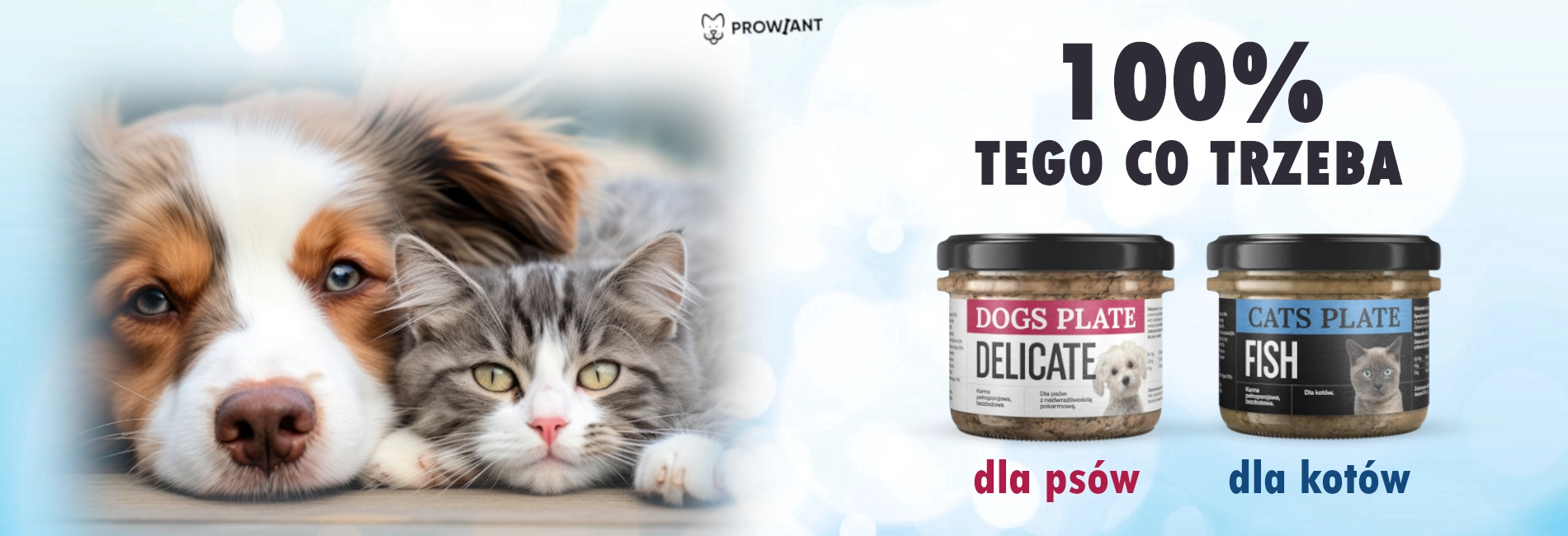 Slide #1 Slide background